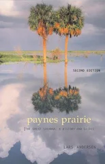 Paynes Prairie