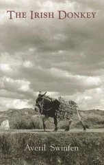 The Irish Donkey