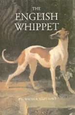 The English Whippet