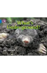 What’s Underground