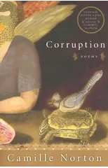 Corruption