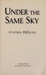 Under the Same Sky