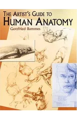 The Artist's Guide to Human Anatomy