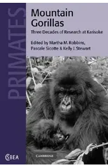 Mountain Gorillas