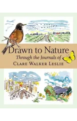 Drawn to Nature