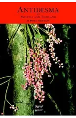 Antidesma in Malaysia and Thailand