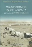 Wanderings in Patagonia