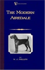 The Modern Airedale Terrier