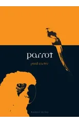 Parrot