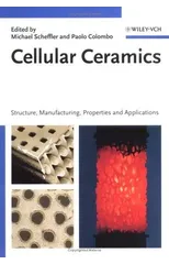 Cellular Ceramics