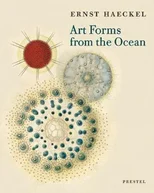 Art Forms from the Ocean
