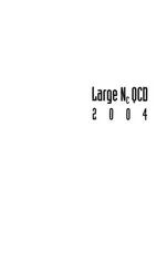 Large NC QCD 2004 - Proceedings of the Workshop