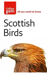 Scottish Birds