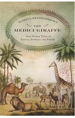 The Medici Giraffe