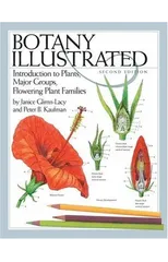 Botany Illustrated