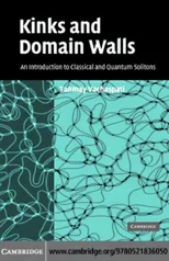 Kinks and Domain Walls