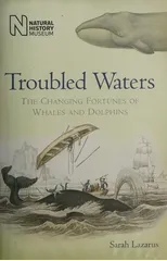 Troubled Waters