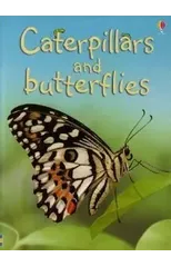 Caterpillars and Butterflies