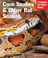 Corn Snakes & Other Rat Snakes