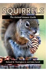 Squirrels