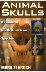 Animal Skulls