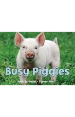 Busy Piggies