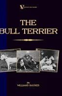 The Bull Terrier (A Vintage Dog Books Breed Classic)