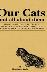 Our Cats And All About Them