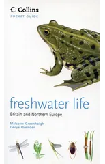 Freshwater Life