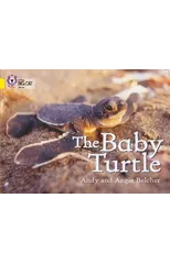 The Baby Turtle