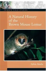 A Natural History of the Brown Mouse Lemur