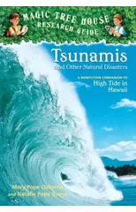 Tsunamis and Other Natural Disasters