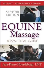 Equine Massage