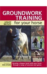 Groundwork Training for Your Horse
