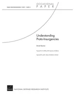 Understanding Proto-insurgencies