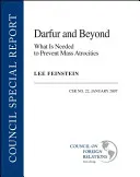 Darfur and Beyond