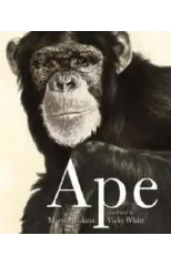 Ape