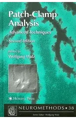 Patch-Clamp Analysis