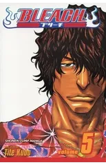 Bleach, Vol. 5