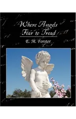 Where Angels Fear to Tread