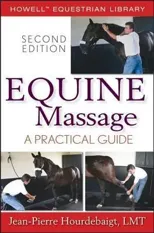 Equine Massage