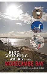 Birdwatching Walks Around Morecambe Bay