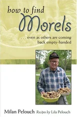 How to Find Morels