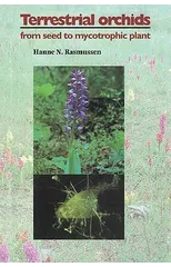 Terrestrial Orchids