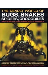 The Deadly World of Bugs, Snakes, Spiders, Crocodiles and Hundreds of Other Amazing Reptiles and Insects