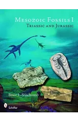 Mesozoic Fossils