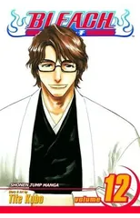 Bleach, Vol. 12