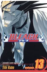 Bleach, Vol. 13