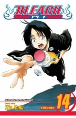 Bleach, Vol. 14