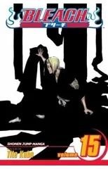 Bleach, Vol. 15